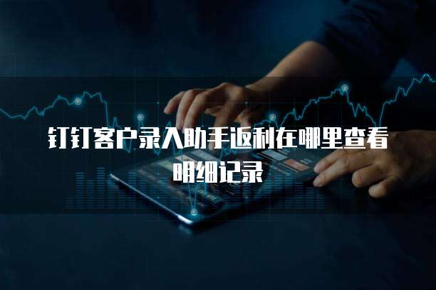 钉钉客户录入助手返利在哪里查看明细记录