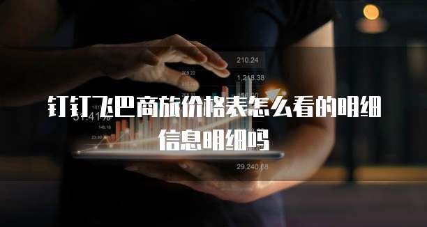 钉钉飞巴商旅价格表怎么看的明细信息明细吗