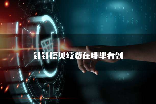 钉钉搭贝续费在哪里看到