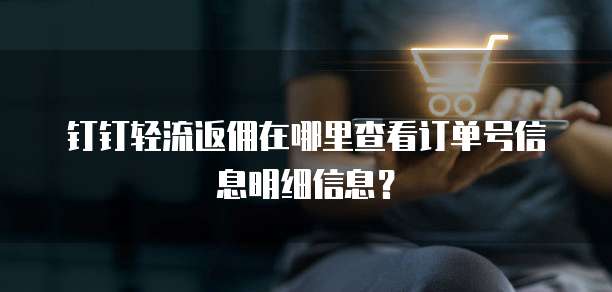 钉钉轻流返佣在哪里查看订单号信息明细信息?