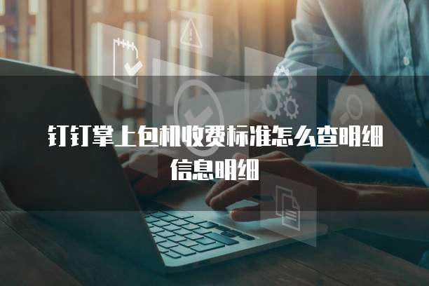 钉钉掌上包机收费标准怎么查明细信息明细
