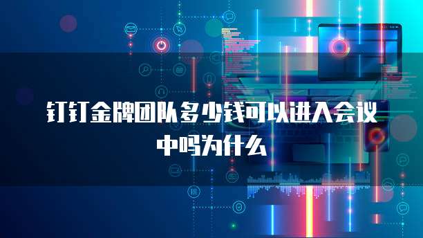 钉钉金牌团队多少钱可以进入会议中吗为什么