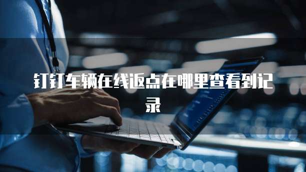钉钉车辆在线返点在哪里查看到记录