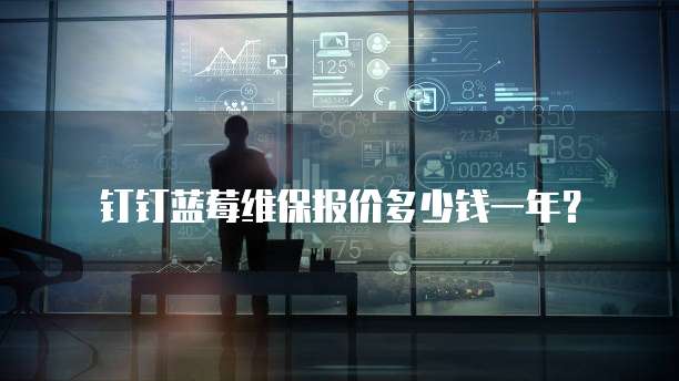 钉钉蓝莓维保报价多少钱一年？