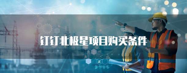 钉钉北极星项目购买条件