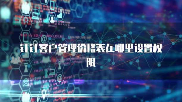 钉钉客户管理价格表在哪里设置权限