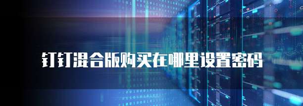 钉钉混合版购买在哪里设置密码