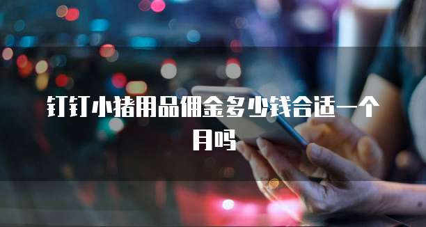 钉钉小猪用品佣金多少钱合适一个月吗