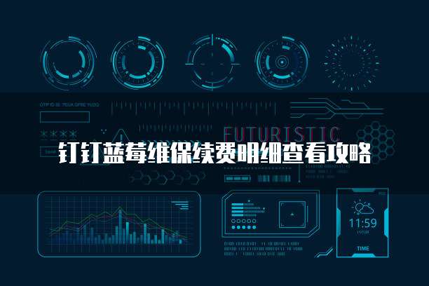 钉钉蓝莓维保续费明细查看攻略