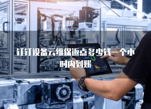 钉钉设备云维保返点多少钱一个小时内到账