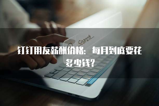 钉钉用友薪酬价格：每月到底要花多少钱？