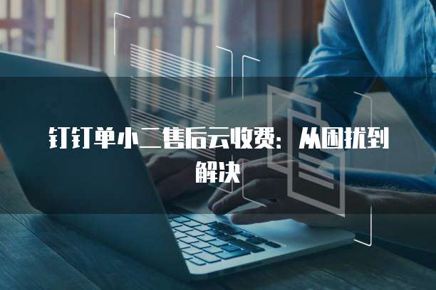 钉钉单小二售后云收费：从困扰到解决