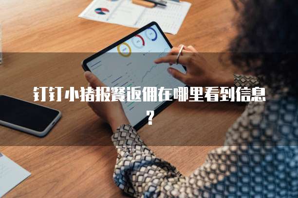钉钉小猪报餐返佣在哪里看到信息?