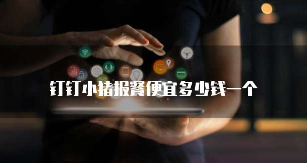 钉钉小猪报餐便宜多少钱一个