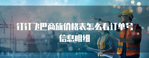 钉钉飞巴商旅价格表怎么看订单号信息明细