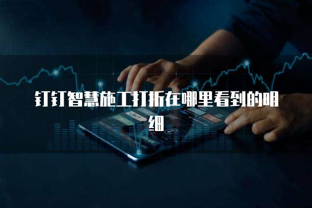 钉钉智慧施工打折在哪里看到的明细