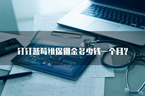 钉钉蓝莓维保佣金多少钱一个月?