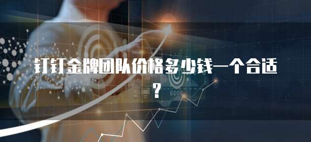钉钉金牌团队价格多少钱一个合适?