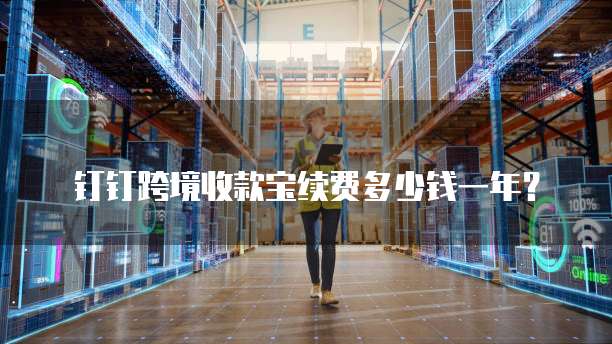 钉钉跨境收款宝续费多少钱一年？