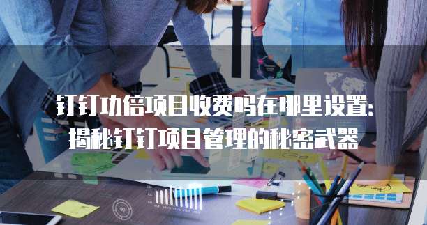 钉钉功倍项目收费吗在哪里设置:揭秘钉钉项目管理的秘密武器
