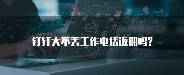 钉钉大不丢工作电话返佣吗?