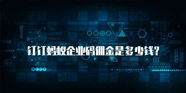 钉钉蚂蚁企业码佣金是多少钱?