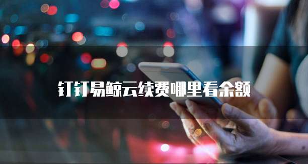 钉钉易鲸云续费哪里看余额