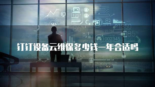 钉钉设备云维保多少钱一年合适吗