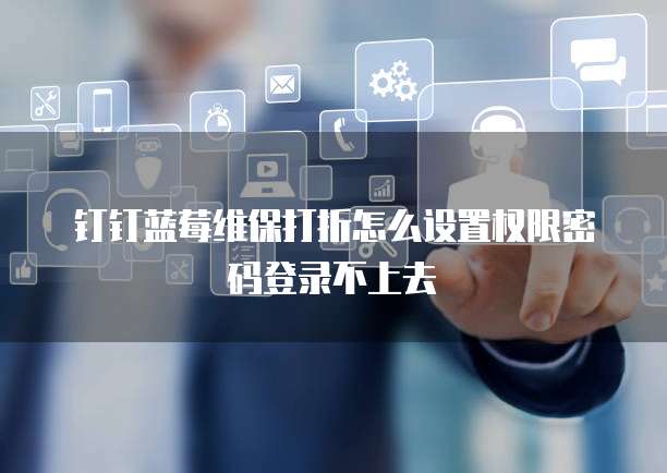 钉钉蓝莓维保打折怎么设置权限密码登录不上去