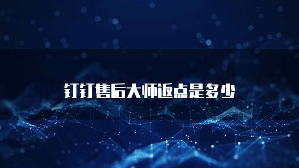 钉钉售后大师返点是多少
