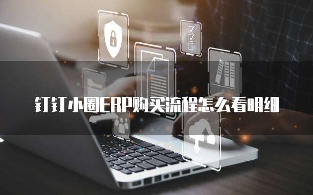 钉钉小圈ERP购买流程怎么看明细