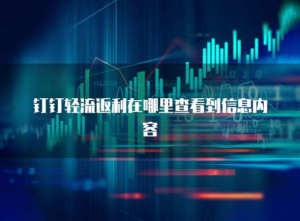 钉钉轻流返利在哪里查看到信息内容