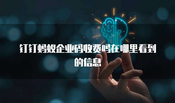 钉钉蚂蚁企业码收费吗在哪里看到的信息