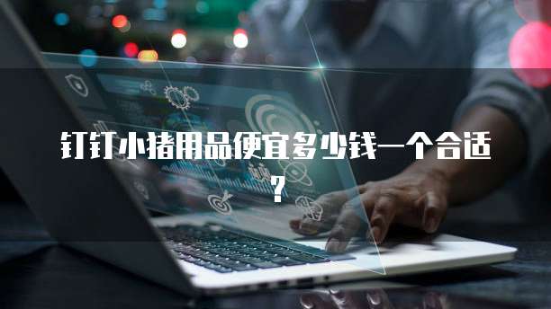 钉钉小猪用品便宜多少钱一个合适？