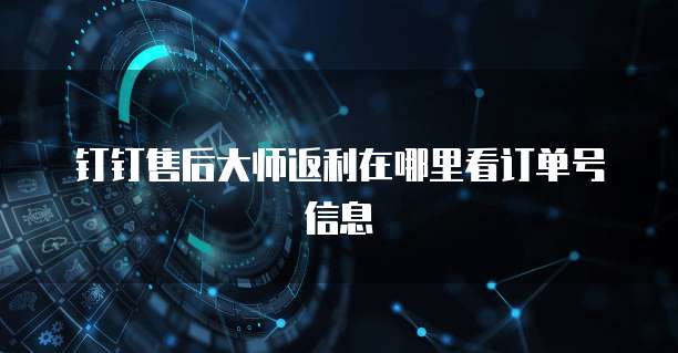 钉钉售后大师返利在哪里看订单号信息