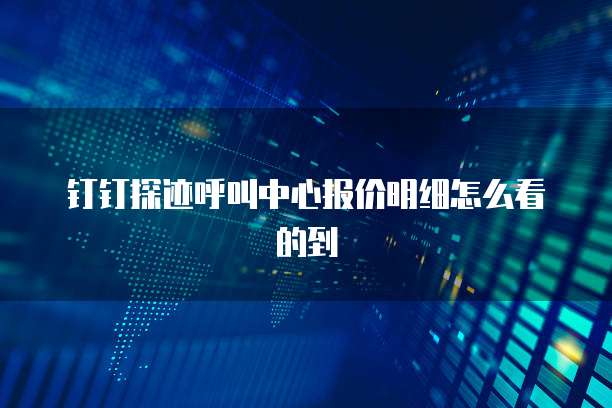 钉钉探迹呼叫中心报价明细怎么看的到