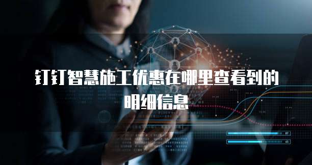 钉钉智慧施工优惠在哪里查看到的明细信息