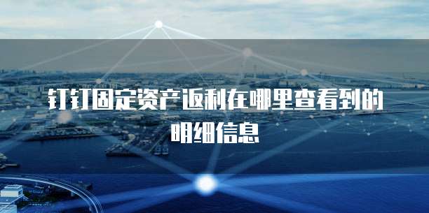 钉钉固定资产返利在哪里查看到的明细信息