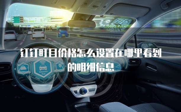 钉钉盯目价格怎么设置在哪里看到的明细信息