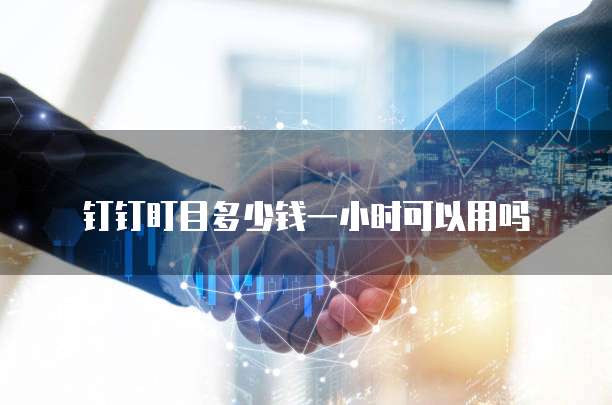 钉钉盯目多少钱一小时可以用吗