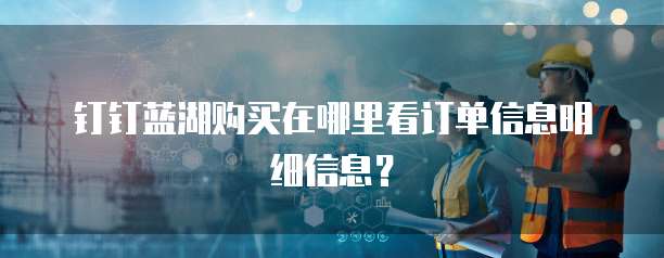 钉钉蓝湖购买在哪里看订单信息明细信息？