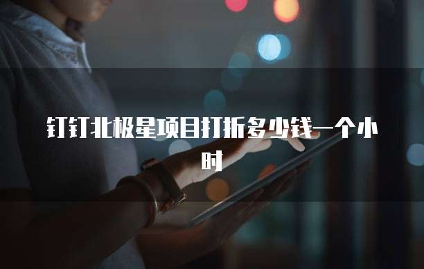 钉钉北极星项目打折多少钱一个小时