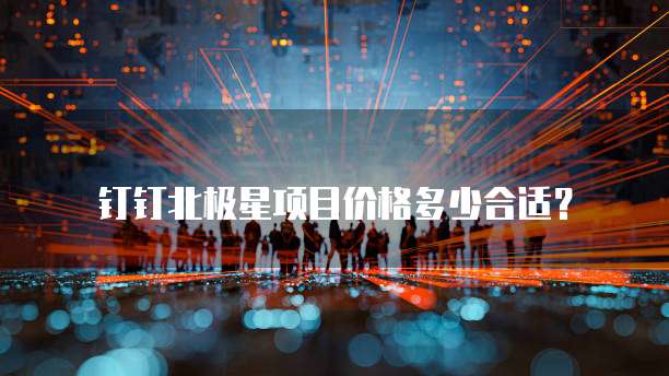 钉钉北极星项目价格多少合适？