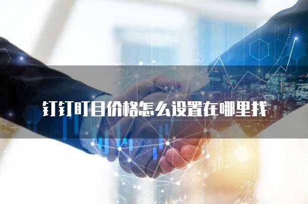 钉钉盯目价格怎么设置在哪里找