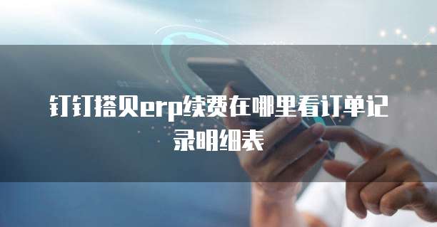钉钉搭贝erp续费在哪里看订单记录明细表