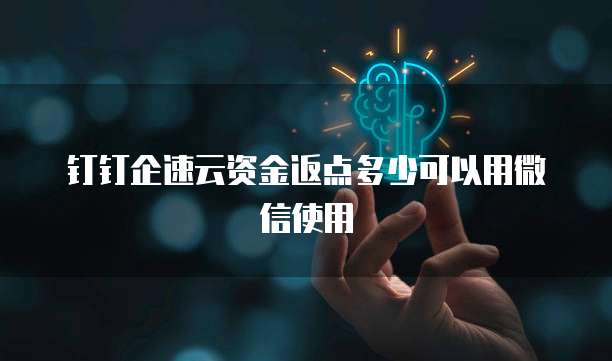 钉钉企速云资金返点多少可以用微信使用