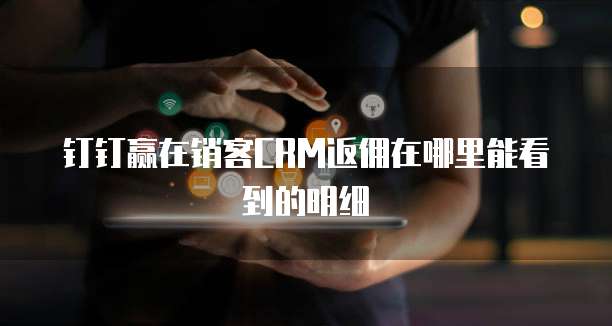 钉钉赢在销客CRM返佣在哪里能看到的明细