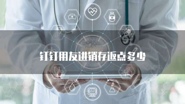 钉钉用友进销存返点多少