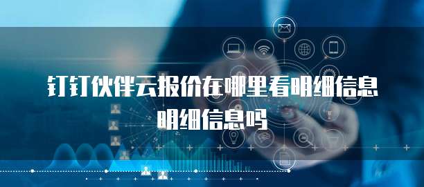 钉钉伙伴云报价在哪里看明细信息明细信息吗