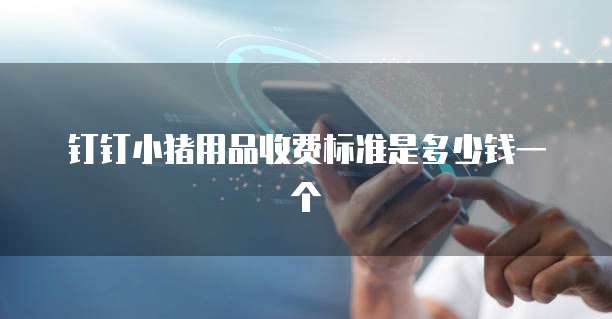 钉钉小猪用品收费标准是多少钱一个